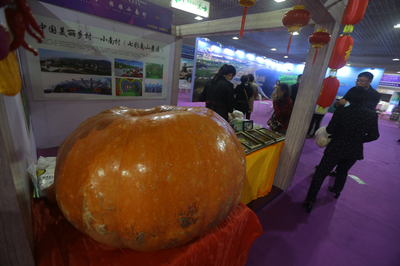 文旅博覽會搭橋 看景合作兩不誤