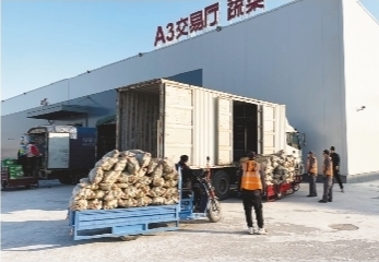 勇當新時代東北振興“跳高隊”——大連產業的新征程