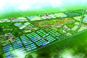 農產品品牌與大連產業排行分析