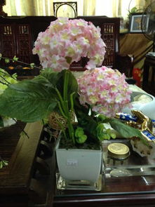 內(nèi)購盛宴 日用百貨超值精選，禮品公司大甩賣等你來！